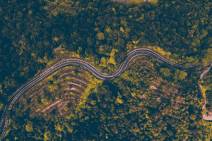 Aerial view of trees and winding road